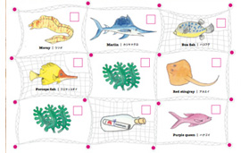 魚をつかまえよう 魚をつかまえよう