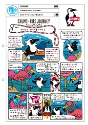 CHUMS BIRD JOURNEY Vol.4 ブービー、ピンク色になる?|CHUMS #004 CHUMS BIRD JOURNEY Vol.4 ブービー、ピンク色になる?|CHUMS #004